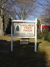 Holmes Tree Farm